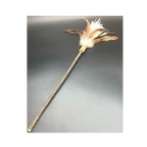 LOSIG SILVERVINE CORN FEATHER TEASER TOY NF121