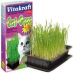 CAT GRASS 120g. VTK40316
