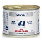 RECOVERY CAN 195 g 9003579307717