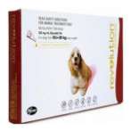 FLEA & TICK 3s FOR DOG 10.1kg-20kg (RED)  RVDOG20
